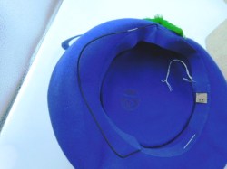 blue hat green feather b